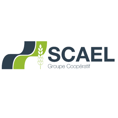 logo Scael