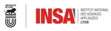 Logo INSA